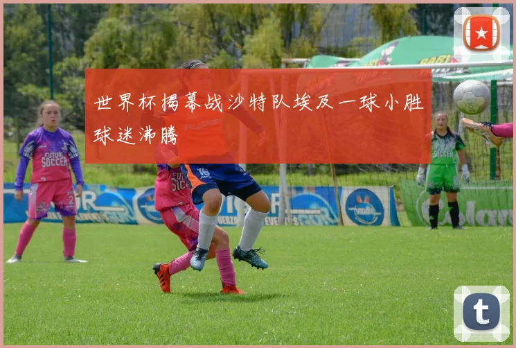 世界杯揭幕战沙特队埃及一球小胜球迷沸腾