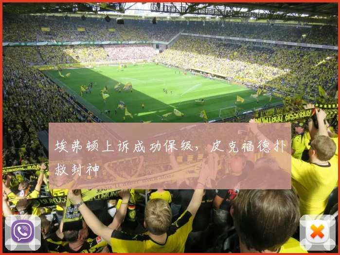 埃弗顿上诉成功保级，皮克福德扑救封神