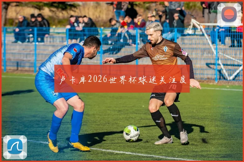 卢卡库2026世界杯球迷关注度