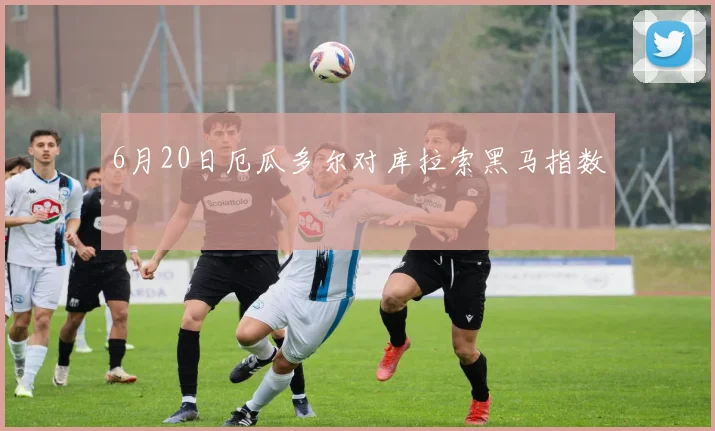 6月20日厄瓜多尔对库拉索黑马指数