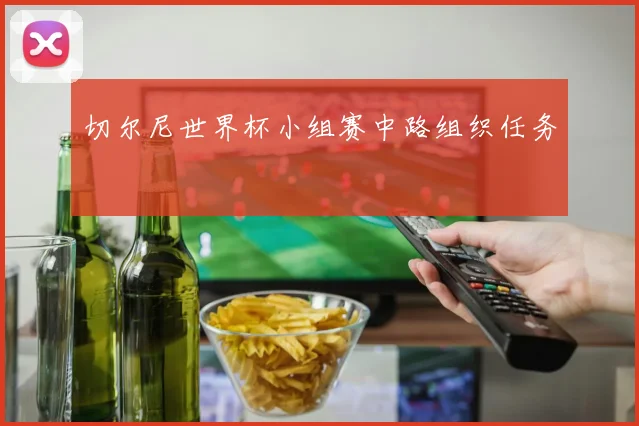 切尔尼世界杯小组赛中路组织任务
