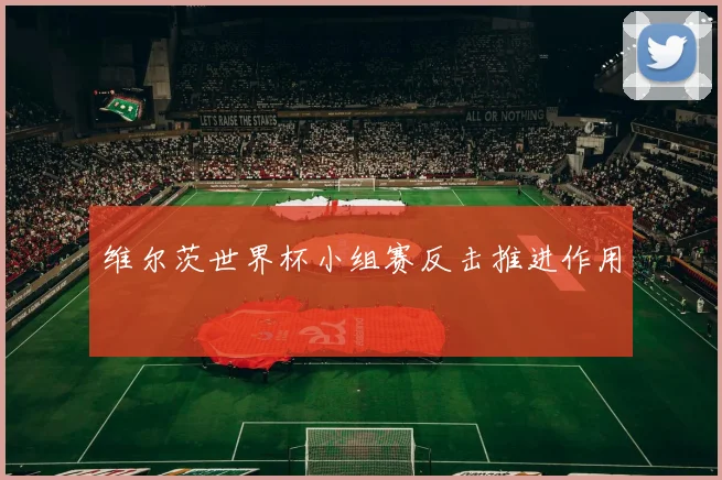 维尔茨世界杯小组赛反击推进作用