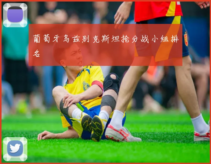 葡萄牙乌兹别克斯坦抢分战小组排名